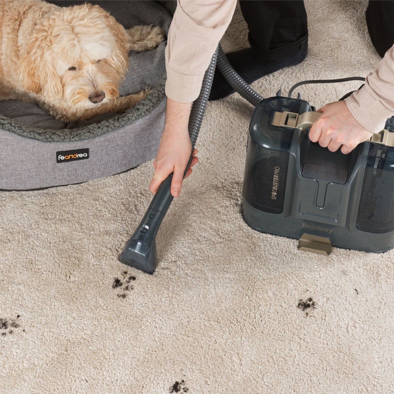 Beldray Spot Cleaner Spot Buster Pro Extendable Hose Portable for Pets & Stains