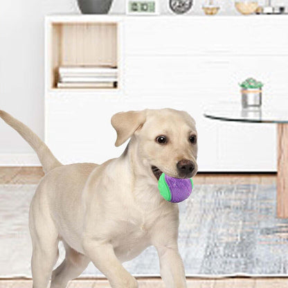Scooby-Doo Durable Squeaky Set of 8 Dog Balls for Teeth Cleaning Interactive